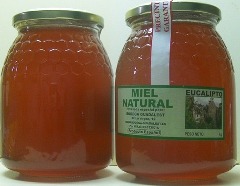 Miel de Eucalipto 1 kg.