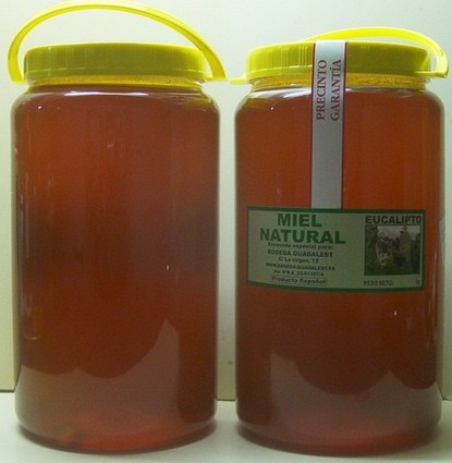 Miel de Eucalipto 2 kg.
