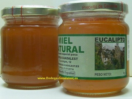 Eucalyptus Honey 250 gr.