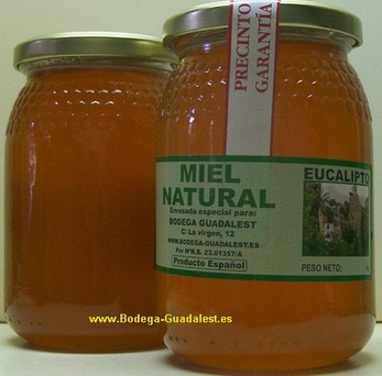 Eucalyptus Honey 500 gr.