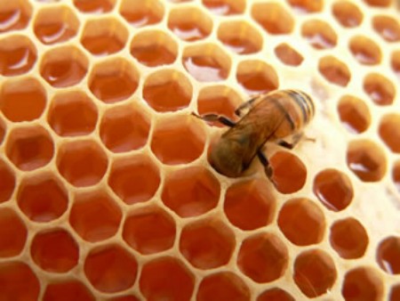 Honey with Royal Jelly